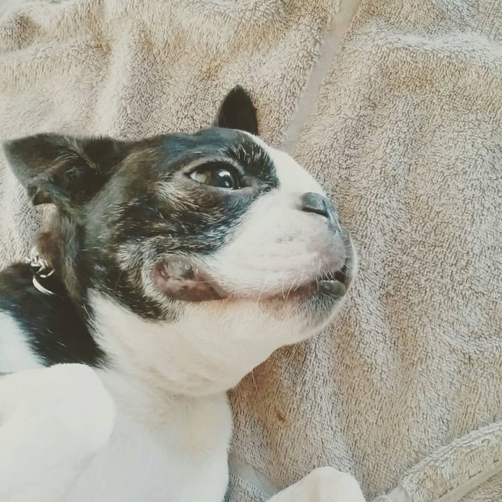 6c38a8e4 1dd7 4543 b095 eaefaa0b3535