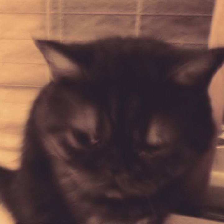 6c39161a 9284 4767 bf3a 371c2f8f5cdd