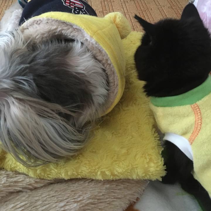 6c394d6c 45a1 4605 9b4a 3a14445302d5