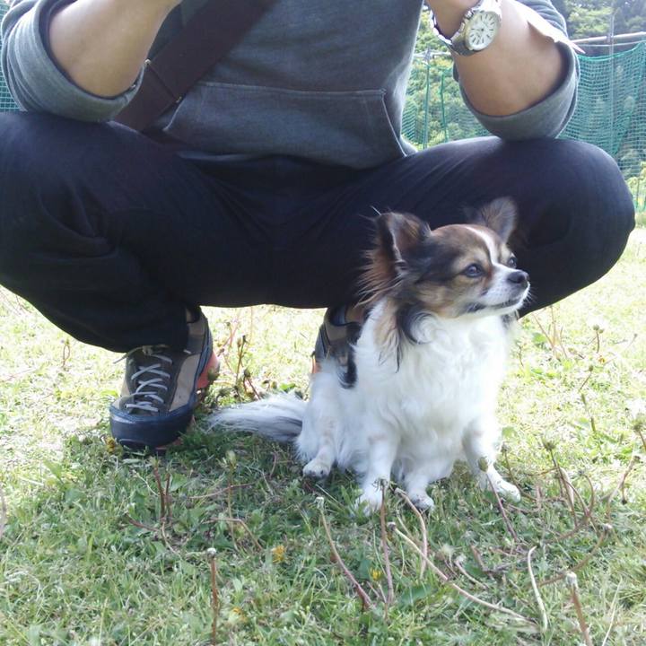 6c395682 7f1f 45c0 81a3 17f99602216f