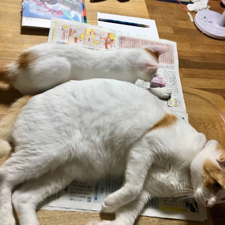 6c396e94 2055 431e afa1 5df06b14f7a8