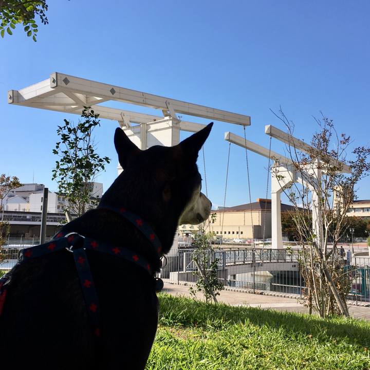 6c3991d0 48c5 4ab7 aaf6 a63590fdb229