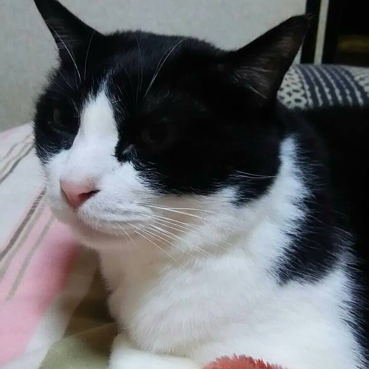 6c3a4020 cb87 4c8c a493 9b810f9a3f65