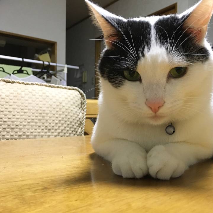 6c3af0aa 3a4a 40b4 be7d a0073165a9e5