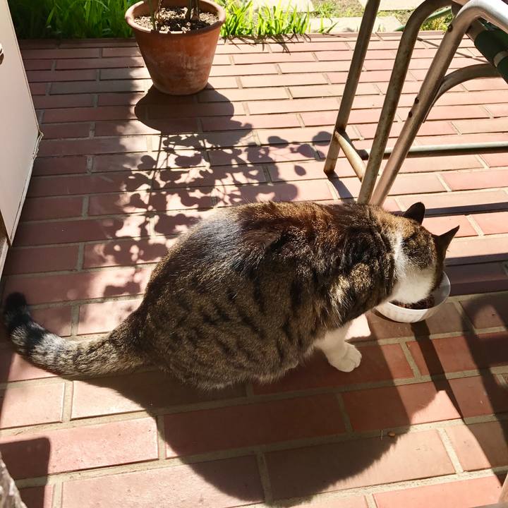 6c3b2d5e e42c 443d a73e d416d5ba576f