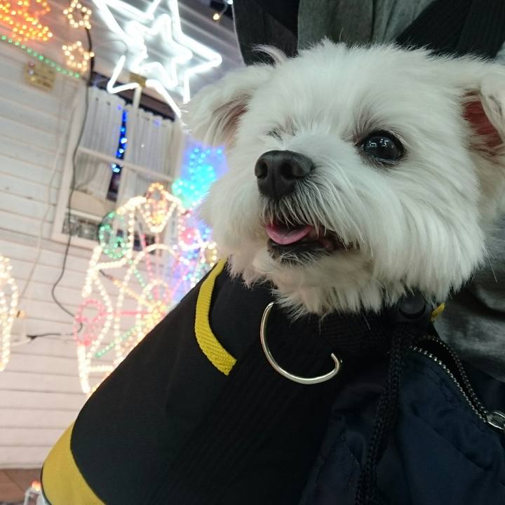 6c3b9fff 5d16 4bd7 9393 adef2b486f72