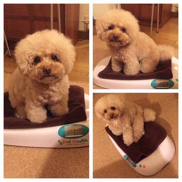 6c3bcddd 7706 4a98 9f95 9783d025fa33