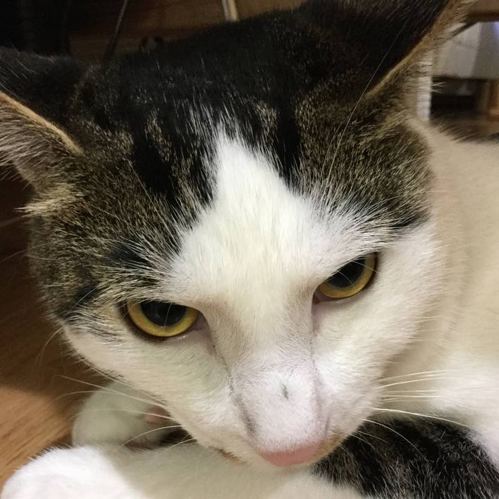 6c3c7b09 70d6 409c 9f38 599a4464efa4