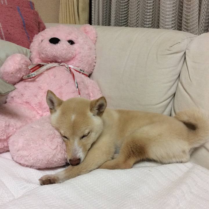 6c3cc7e8 cb27 453b 8f3d efe3cfa9d839