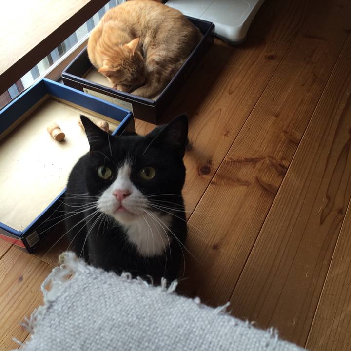 6c3cd0e5 5b48 46db 87e2 fac29202394d