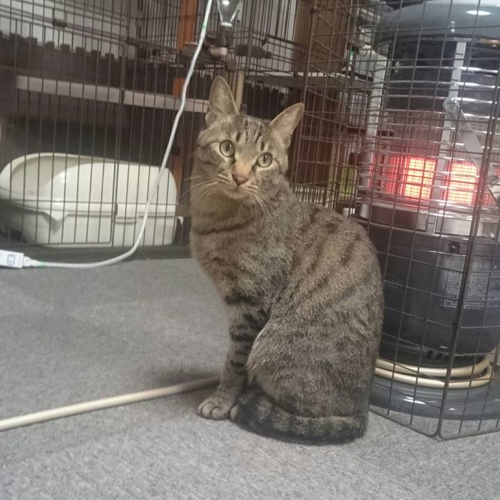 6c3d4251 1425 46ac b4ad a241abf49513