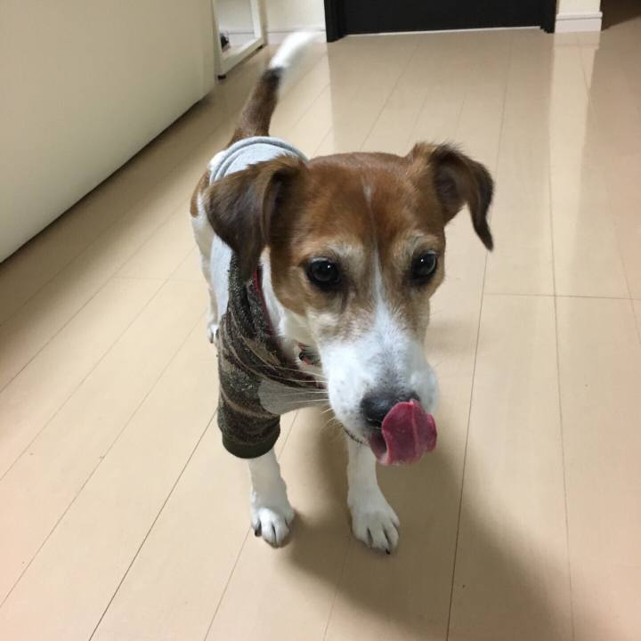 6c3d4b29 8c6a 4fd7 a4f9 74fe80e61fc8