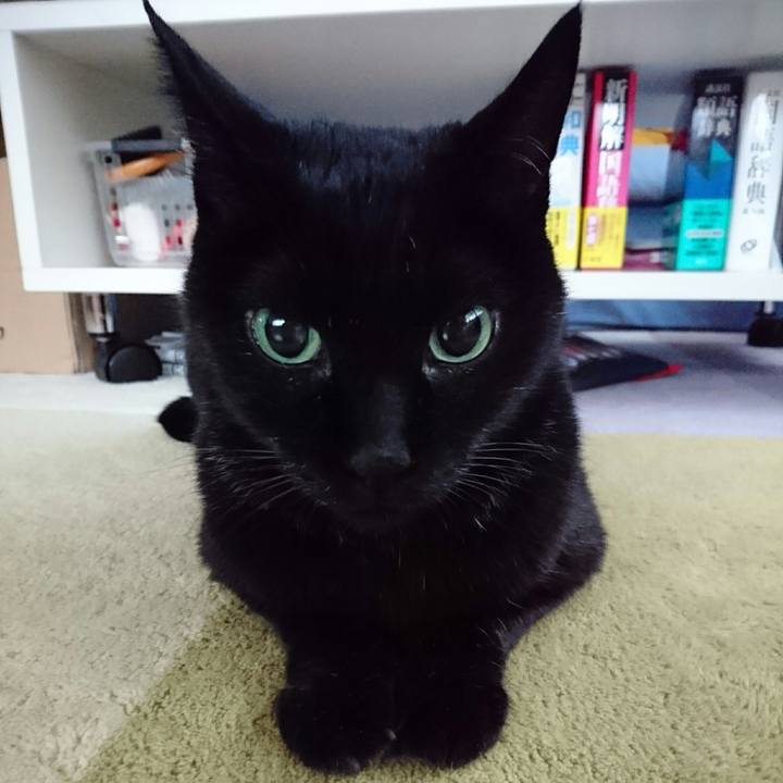 6c3d6148 ad1f 4f85 82b7 9a5fb4012a1f