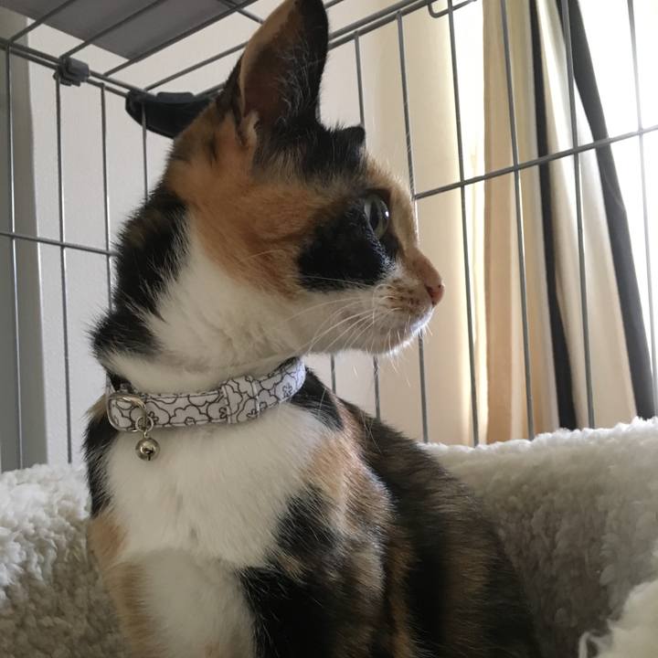 6c3d80af fe20 4c8f 8608 461b1388984d