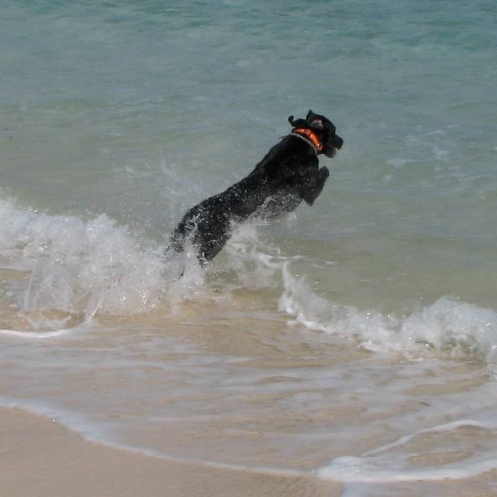 6c3d8cb5 5c08 4408 acad 8eea3ead7b20