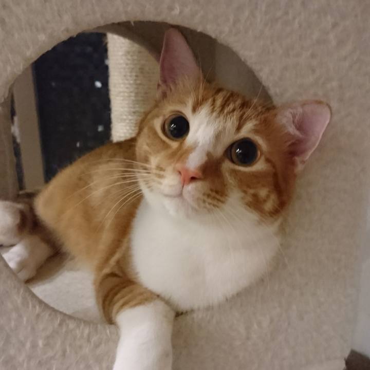 6c3e245d cb5d 491c 9581 0a702f94999d