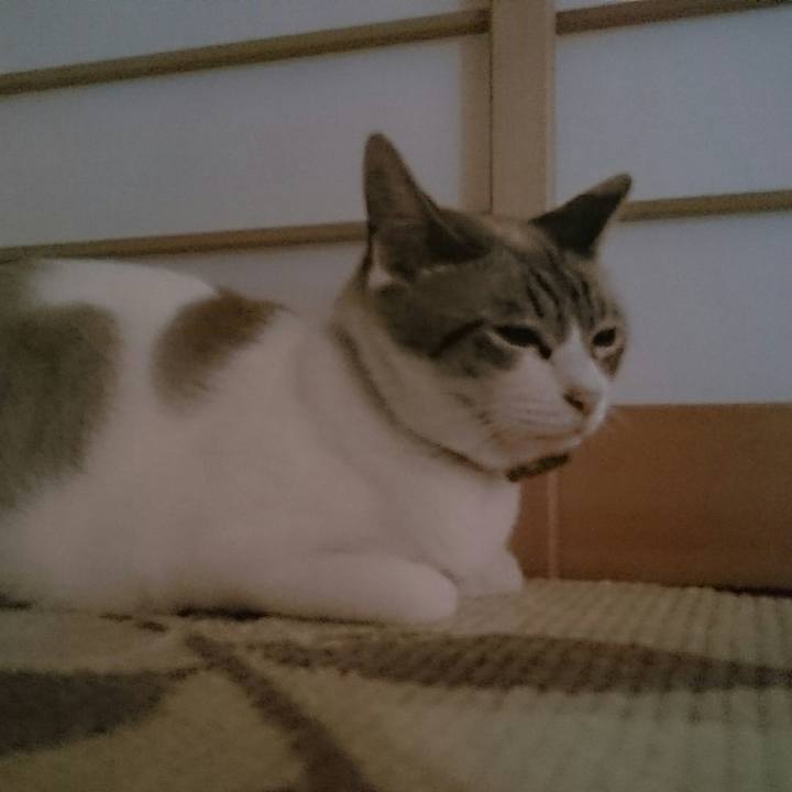 6c3e6047 6876 49dc aaed 2a748e175bba