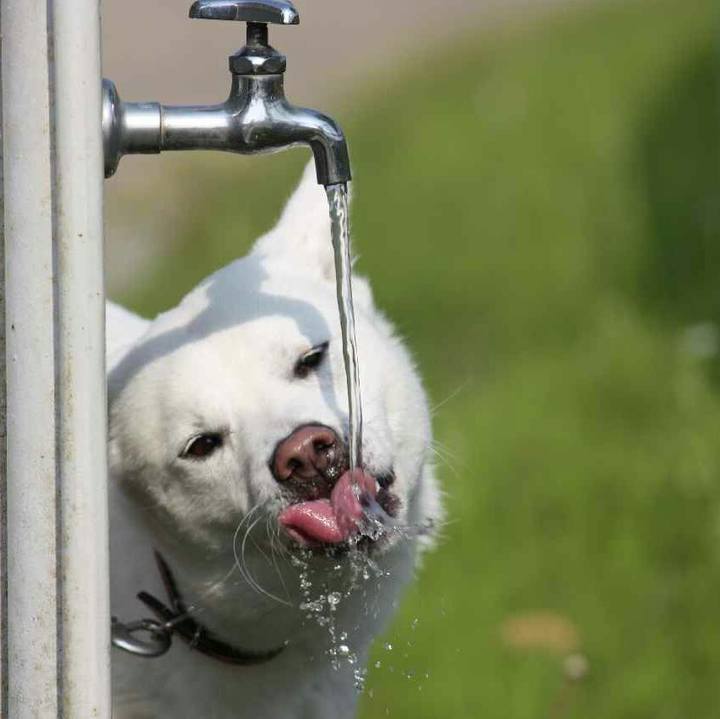 6c3e653d e3d9 4776 b9d4 5dee793380b2