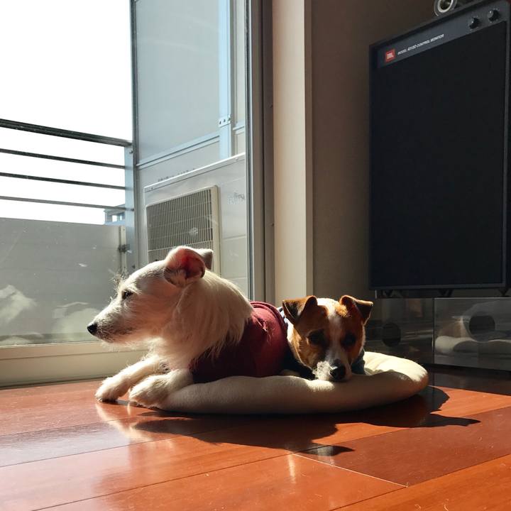 6c3e6717 5146 4cba b1a9 e97f5186bffd