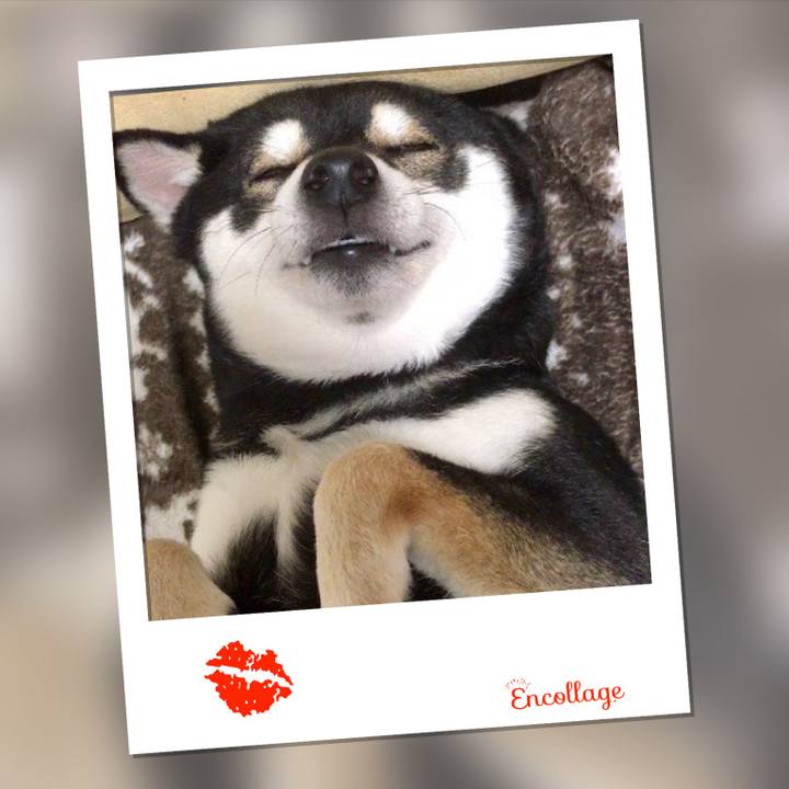 6c3f7354 4d15 4dab b5da 46d999c8c449