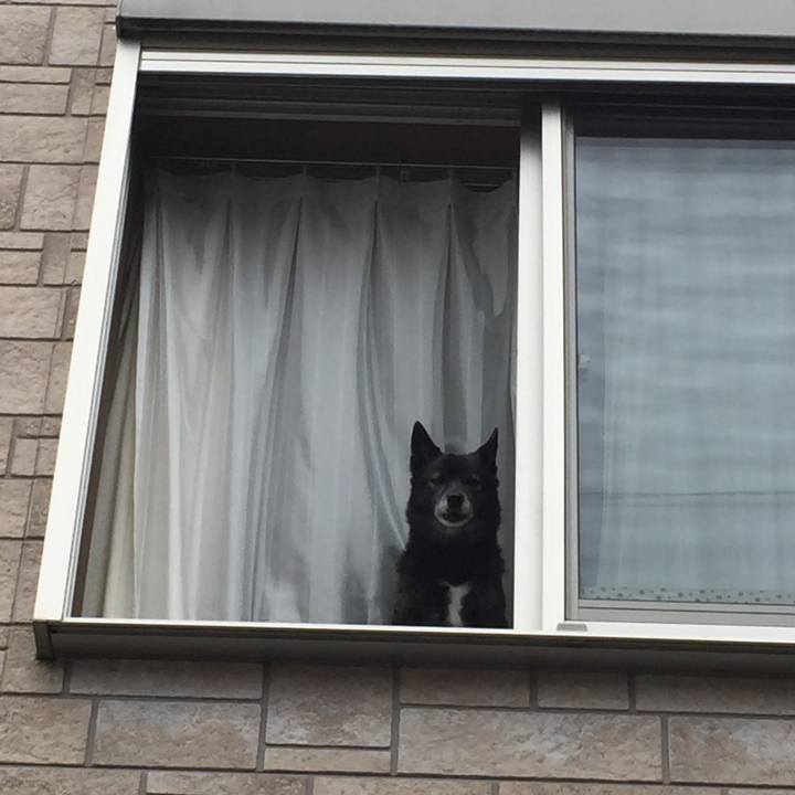 6c3f7bb8 9045 4b1d bdaf 0144a48cd901