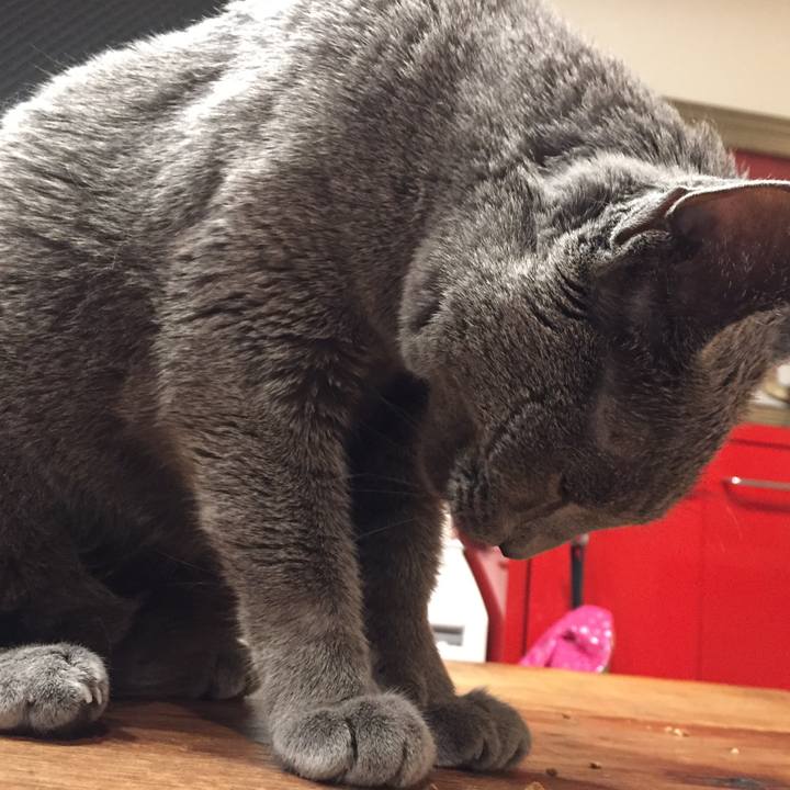 6c3fc491 e904 44ae b69c bebcadb7a3ec