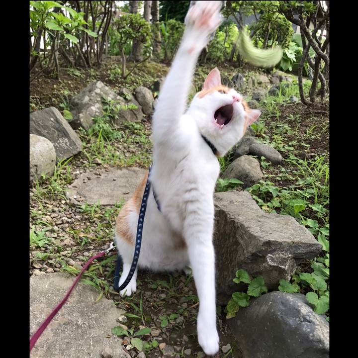 6c3ff721 bc30 4991 941d 7ede1d06ddf7