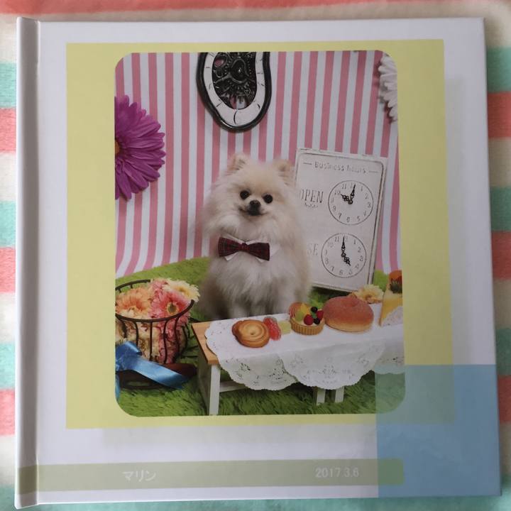 6c402c48 a680 4f78 a47c 8ed75d386910