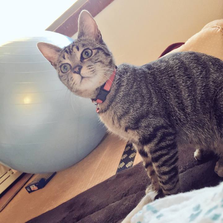 6c408f7c 9523 4fdb 82a3 9ef36590c644