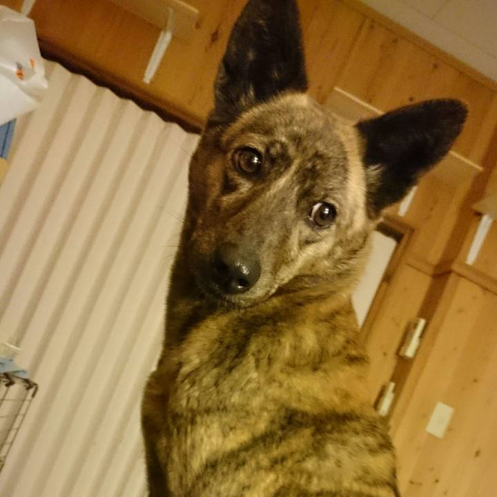 6c40ce30 8839 4597 acc3 5da7c3341567