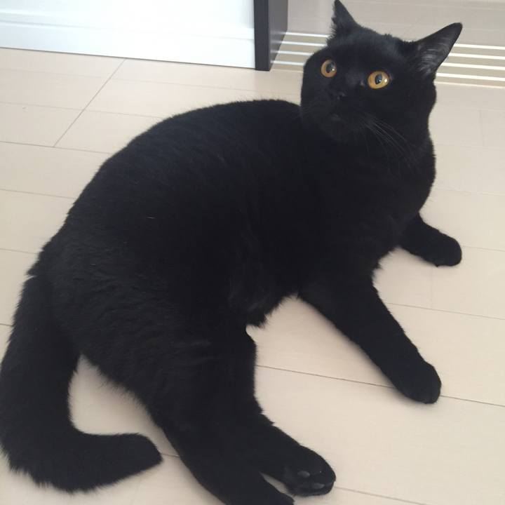 6c40cff3 6e5f 4a95 9189 0f7f0111c142