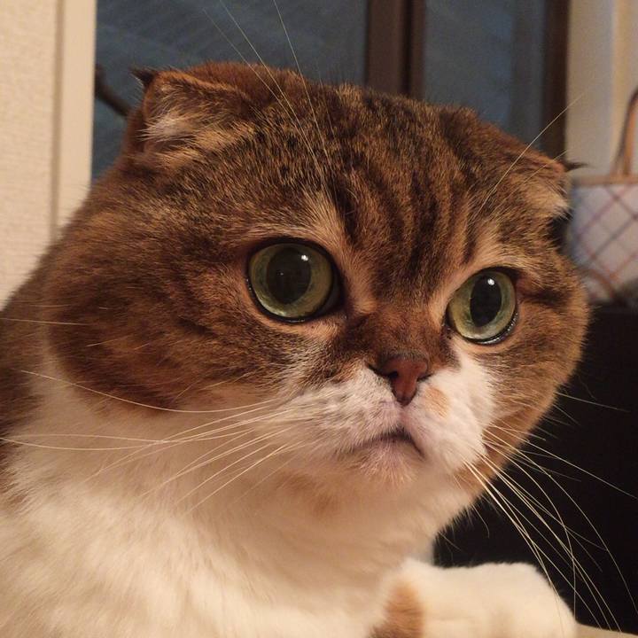 6c41060a c774 474e 9334 dd36d27ac136