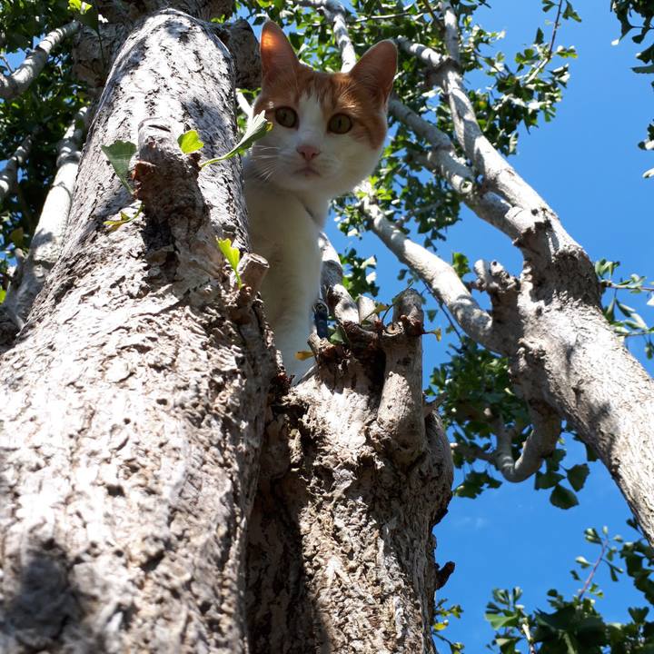 6c422f92 a8da 4987 bf50 3e870b7feb3a