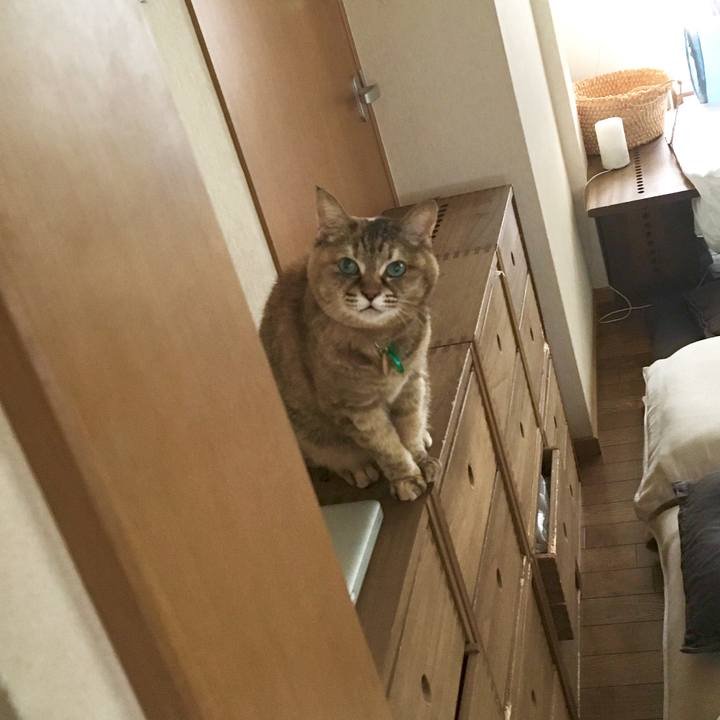 6c423b8c 5a5a 4146 b52e f5f4393f464b