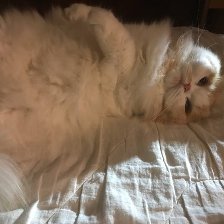 6c42a846 dd8d 4539 8d3f 12af341e3234