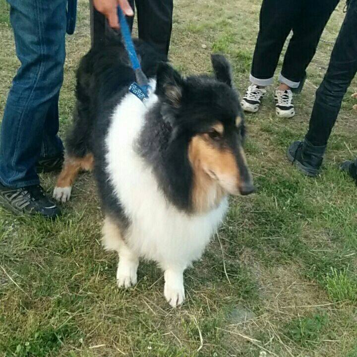 6c43bf49 6cee 4692 8eac 1f26b0fd1801