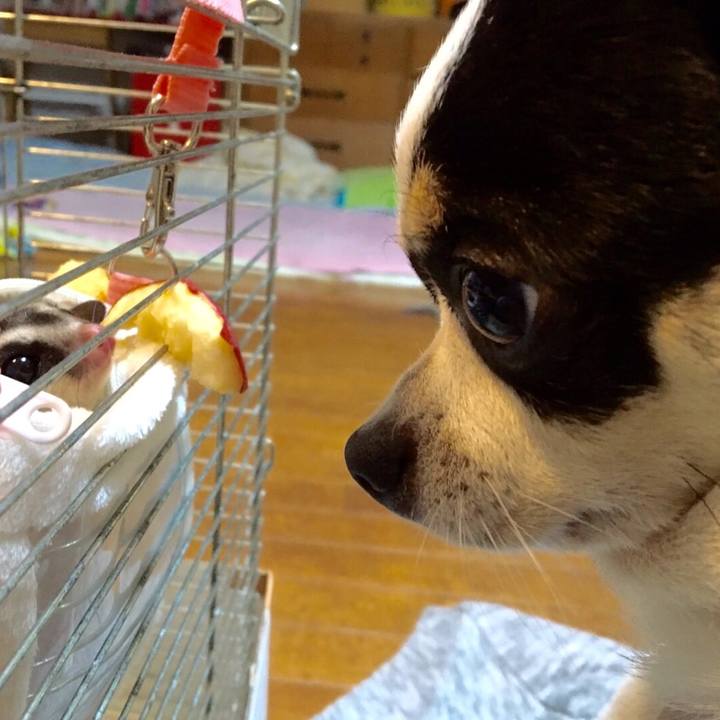 6c43d753 208d 4936 8b56 6102afadb9a6