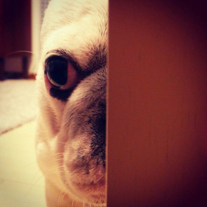 6c44545b 7adc 4461 afe5 0af1f9805b4a