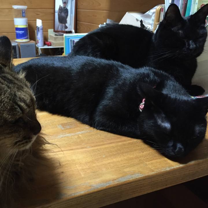 6c44acc4 5141 4df2 92c0 235f1f27115f