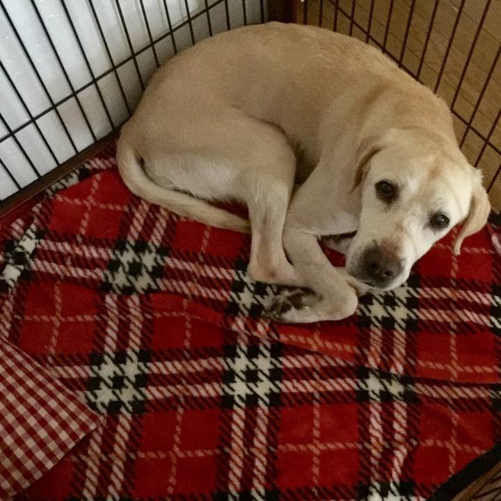 6c461e32 2489 4917 907b 5700529b06af