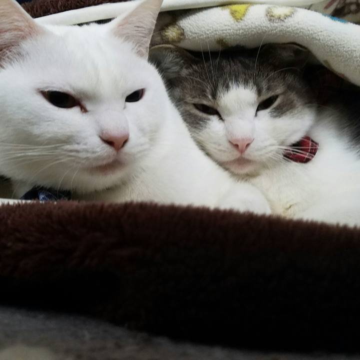 6c469d38 190e 442e 9f61 46172e4291bd