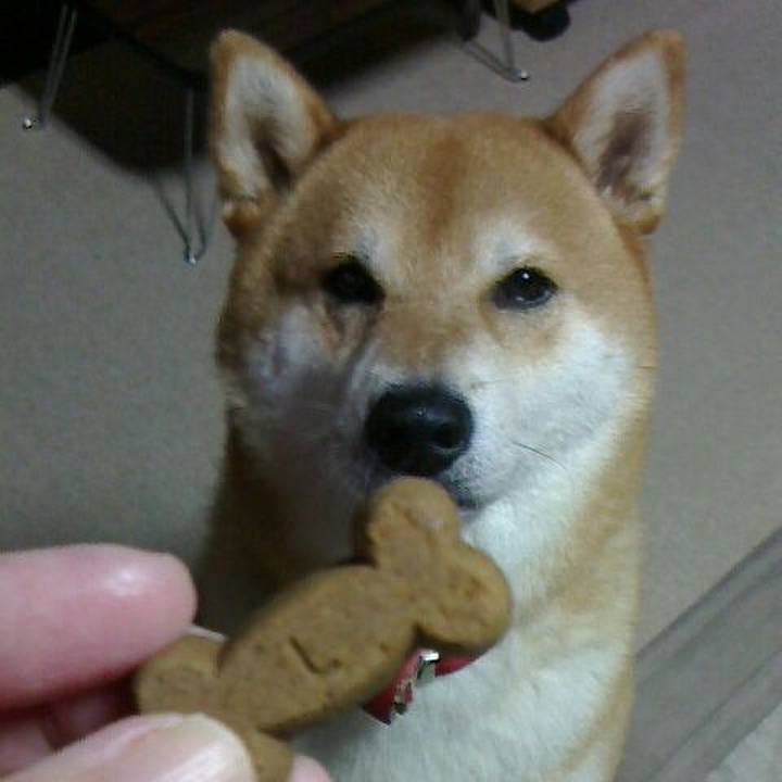 6c46c022 dea9 475d 92e2 ce266de40bde