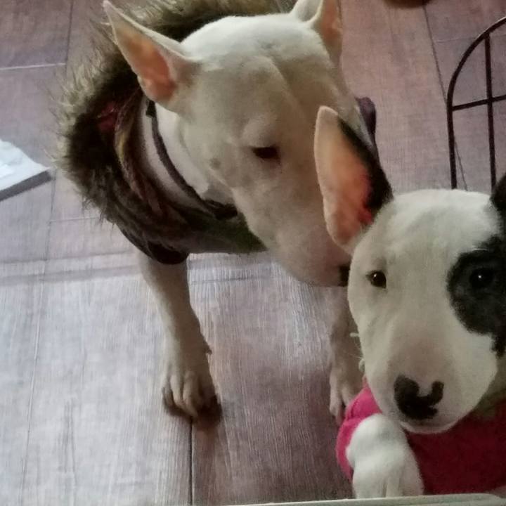 6c46dfd8 fa19 4a81 839d e4f602642d7f