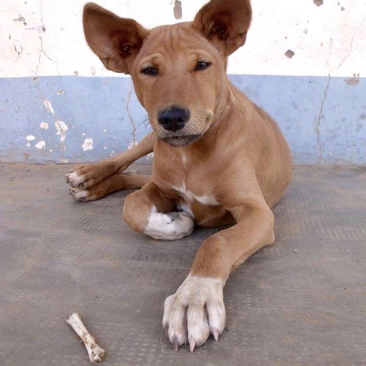 6c47010d 5d1a 46bd 932e 0bac124f1515