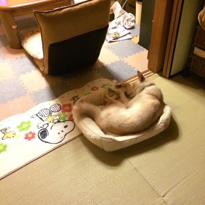 6c47db8a 0d5e 427b a13d 0a43047db90e