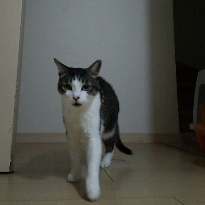 6c47e235 885b 416a 8e8d a0caeddd7358