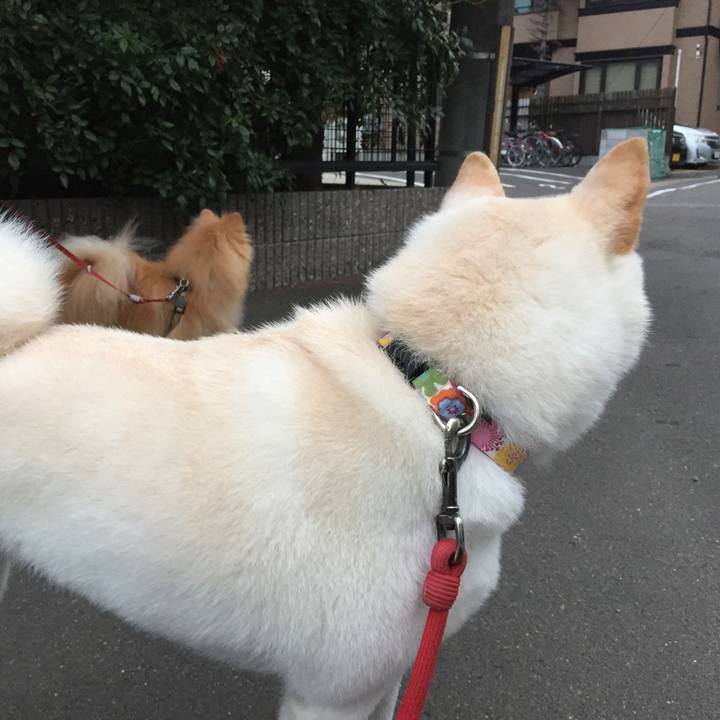 6c488ecc 0f0f 4e5b aadf 940680b8f192