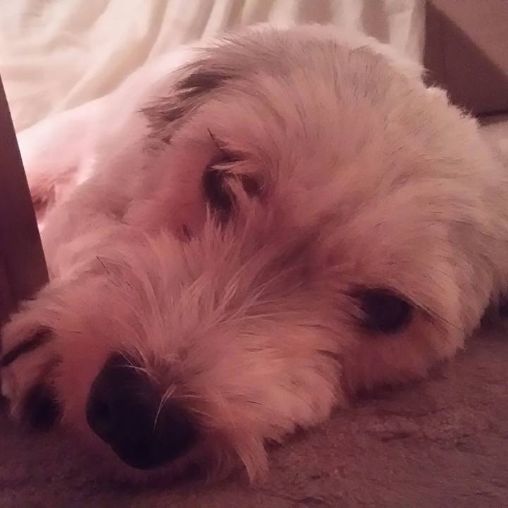 6c48ec00 8697 49b5 810a a7cdc68ae0fb