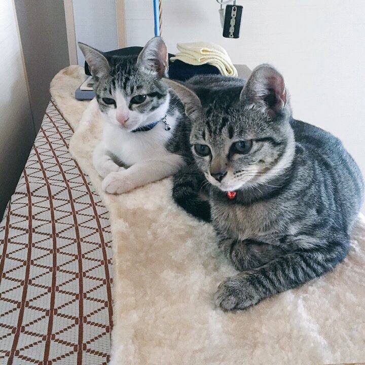 6c492b57 cb45 4522 97d8 dbc7d5d2a954