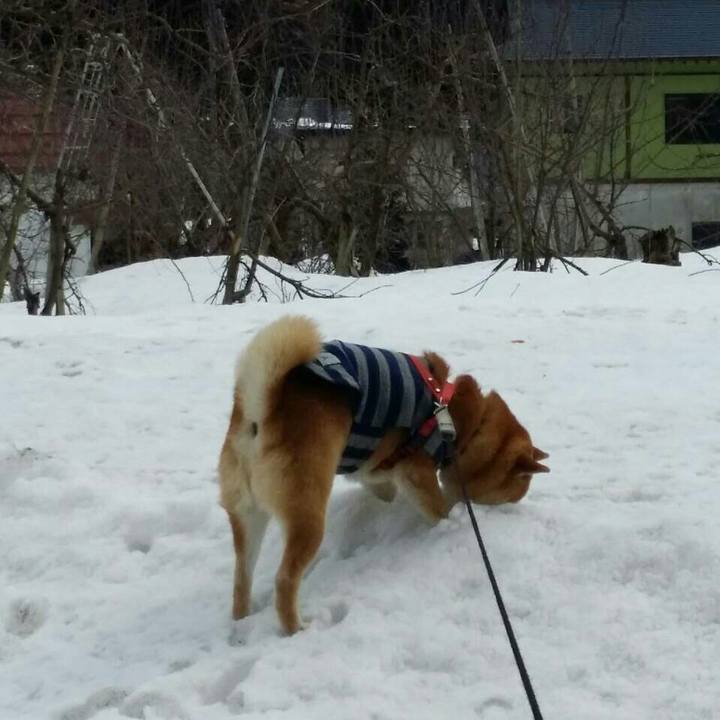 6c4a261f f0f9 40e6 8158 fd6094608fa0